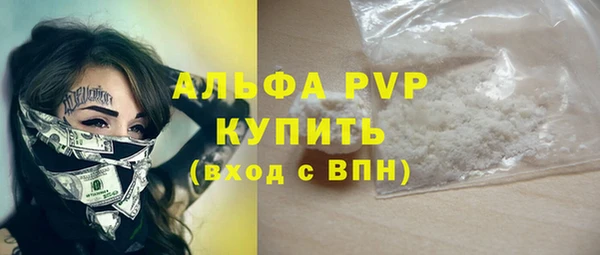 хмурый Белокуриха