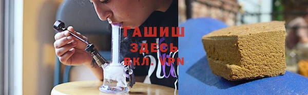 хмурый Белокуриха