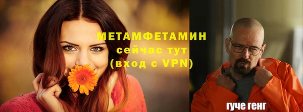 хмурый Белокуриха