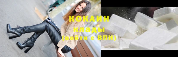 хмурый Белокуриха