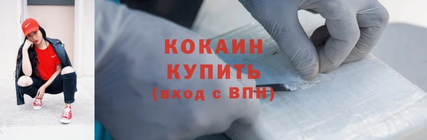 хмурый Белокуриха