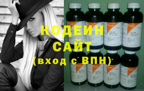 хмурый Белокуриха