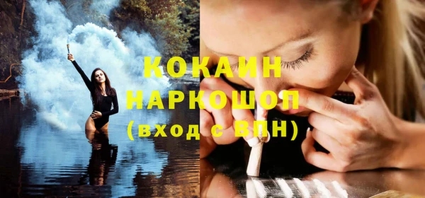 хмурый Белокуриха